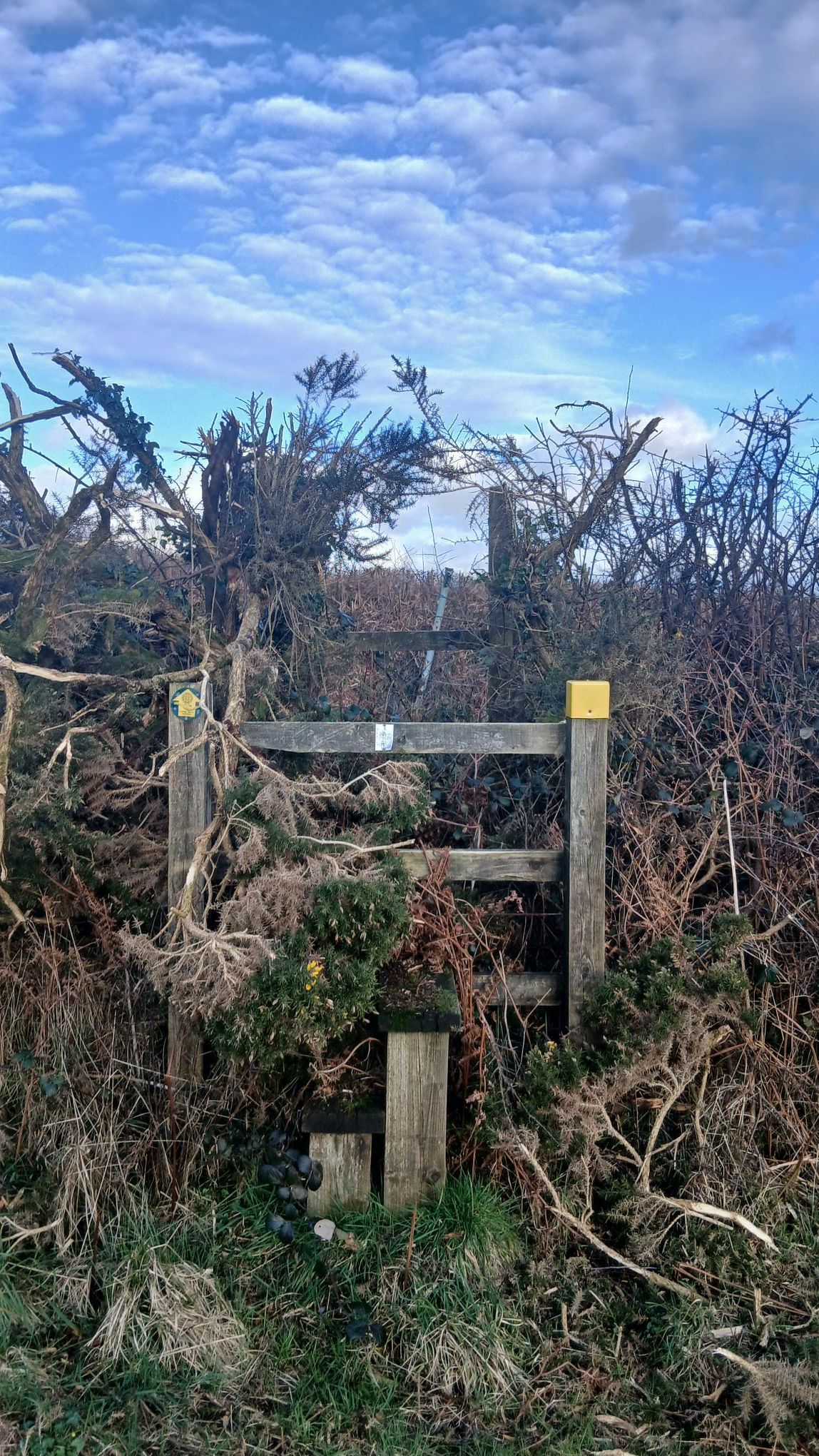 Overgrown Stile